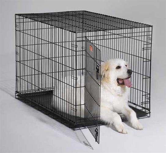 כלוב רשת לכלב בינוני עד גדול