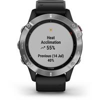 שעון דופק Garmin Fenix 6 Silver with Black Band