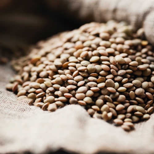 עדשים ירוקות בלדי