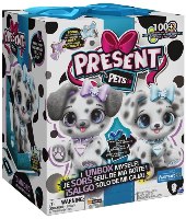 גור בהפתעה פרזנט פטס - דלמטי