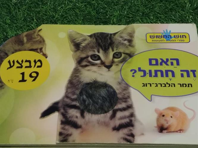 ספר חושים, האם זה חתול