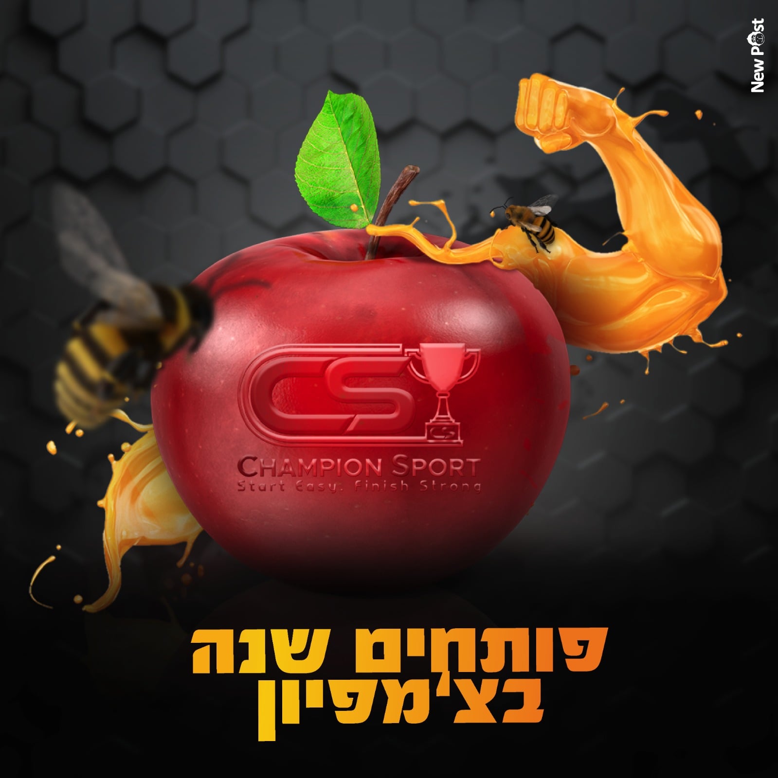 מבצעי פתיחת שנה|ראש השנה 2019 - CHAMPION SPORT