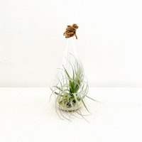 מובייל בצורת טיפה- גדול