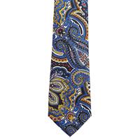 עניבה פייזלי כחול צבעוני