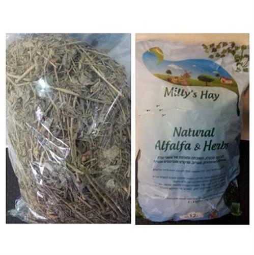 אספסת טרייה למכרסמים 12 ליטר