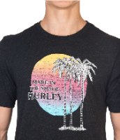 Hurley M REC TRES PALMS S/S