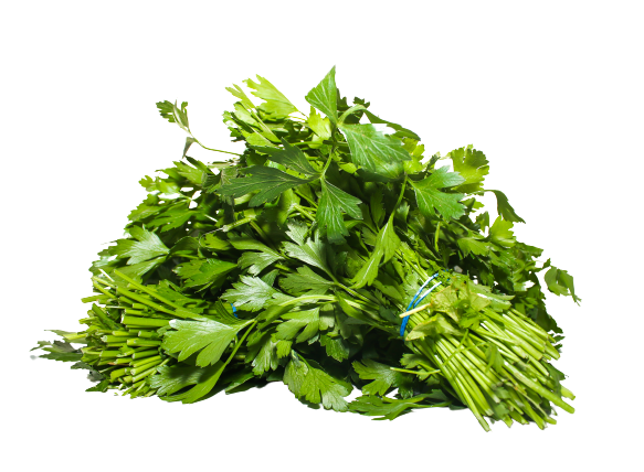 פטרוזיליה מהדרין