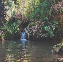 טיול, גישור וחוויה - טיולי שטח לזוגות