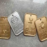 תבנית דיסקית גיוס | תבניות מסיבת גיוס ליצירה בשוקולד | תבנית 6 דיסקיות |  חדש אתי דבש