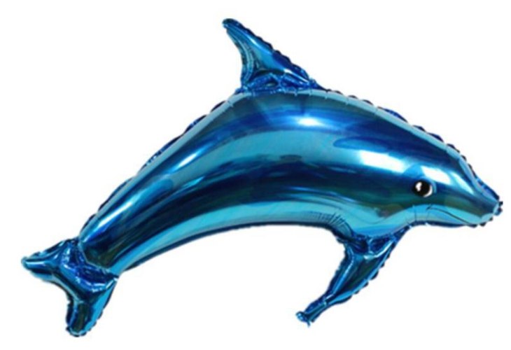 בלון דולפין