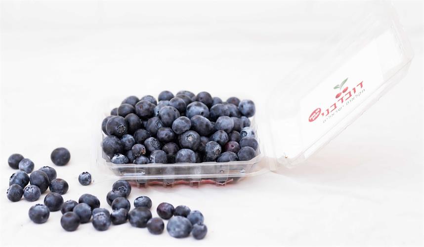 אוכמניות ישראליות- מארז של 125 גרם