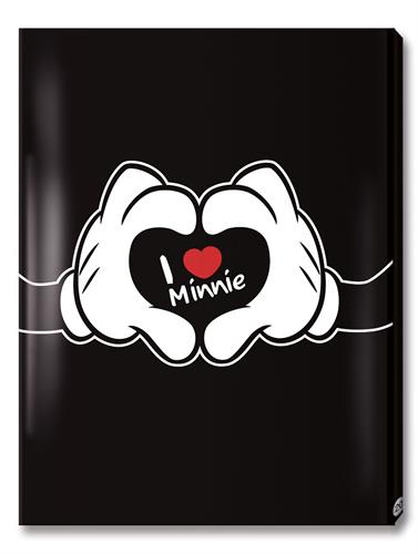 תיק פייל 20מיני