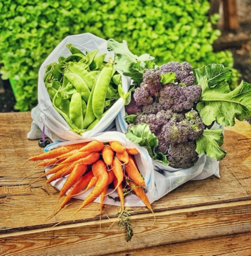 שקיות בד רב פעמיות לירקות ופירות - אריזת שלישיה