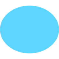 פוליגל תכלת