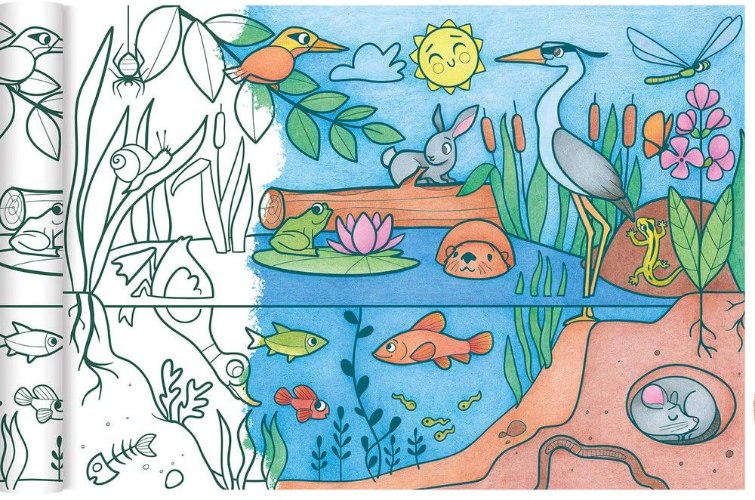 גליל נייר לצביעה - אקו