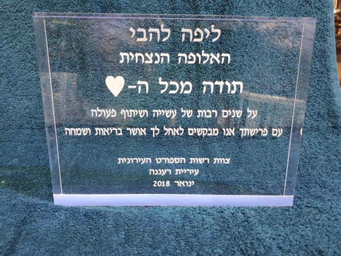 מגן אקריל 30 מ"מ עובי