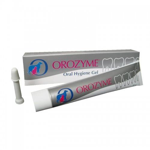 ג'ל אורדנטלי