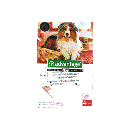 אמפולה אדונטג' לכלב למניעת פרעושים 10-25 ק"ג