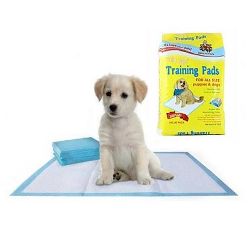 פדים לגורים 50 יחידות