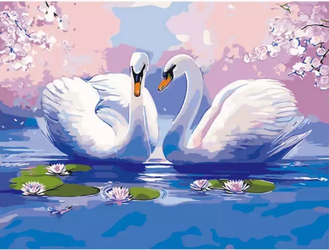 צביעה לפי מספרים - ברבורים RGDZ1074