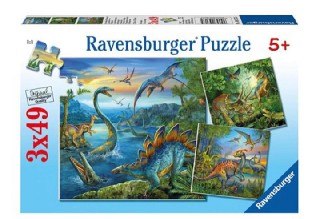 פאזל 49 חלקים