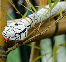 נחש על שלט רחוק