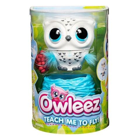 אוליז הינשוף האינטרקטיבי  Owleez