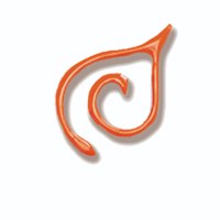 טוליפ לבד 25305 -  BRIGHT ORANGE