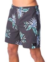 RIP CURL SOUTH SHORE VOLLEY