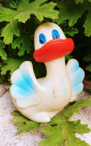 ברווזון גומי רך ונעים למגע