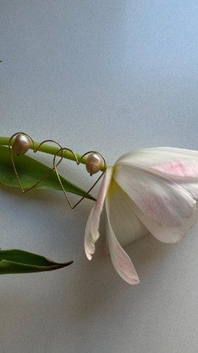 עגילי ליז פנינה זהב