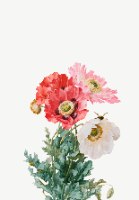 אביב הגיע- הדפס ציור על נייר