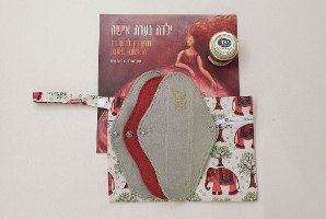 ערכה מקיפה לנערה הכוללת 9 תחבושות בדרגות ספיגה שונות, תיק היגיינה, ספר ומשחה