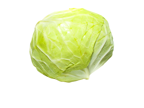 כרוב לבן יחידה