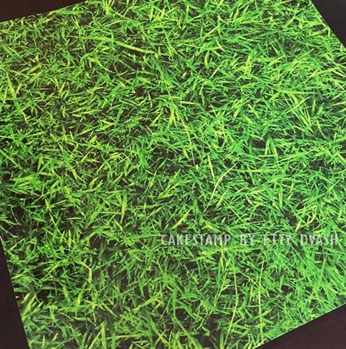 5 יחידות דשא חי - טפט מצופה למינציה