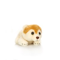 בובת הכלב שלי- פומרניאן (בז' עם ראש חום)