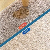 מסיר כתמים פורמולה חדשנית