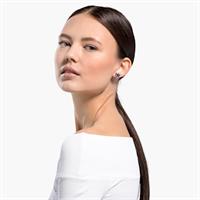 עגילים SWAROVSKI קולקציית Louison