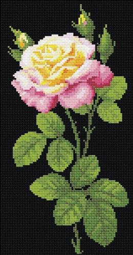 תמונת שיבוץ אבנים - ורד נהדרת