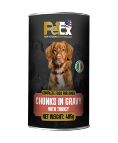 שימור פטקס הודו לכלב