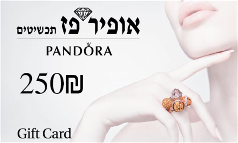 גיפטקארד - כרטיס מתנה  בשווי 250₪