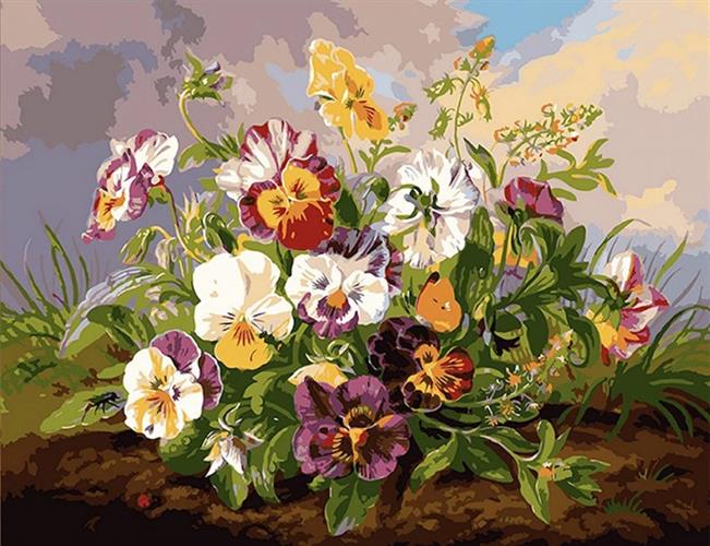 צביעה לפי מספרים - פרחי אמנון ותמר