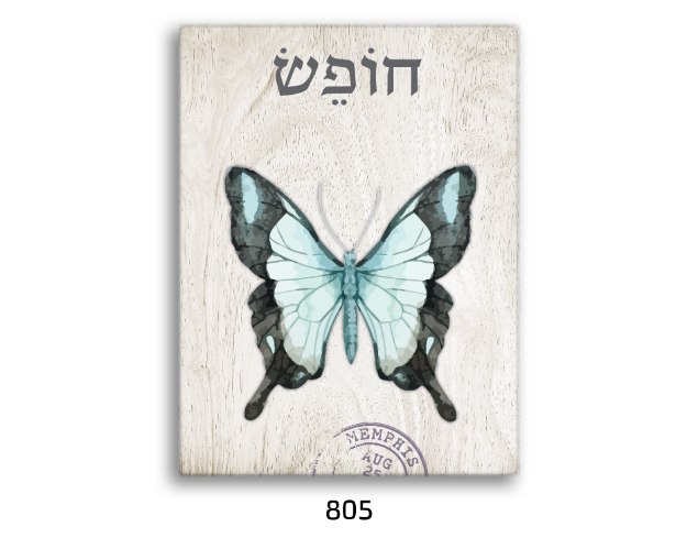 תמונת השראה  חופש - דגם 805