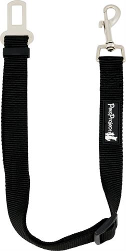 חגורת בטיחות לכלב