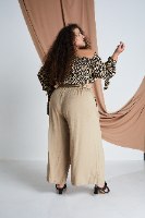 טופ סילבר ספארי