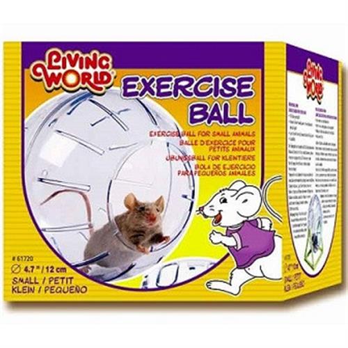 כדור משחק לאוגרים