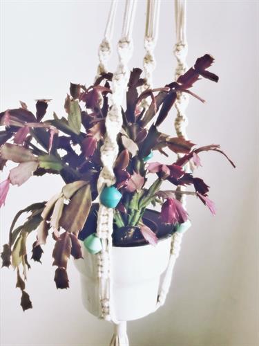 מקרמה לעציץ