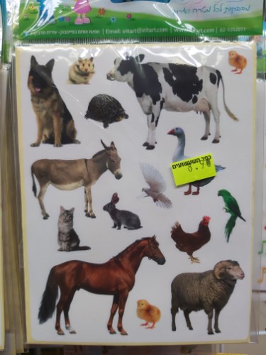 מדבקות חיות