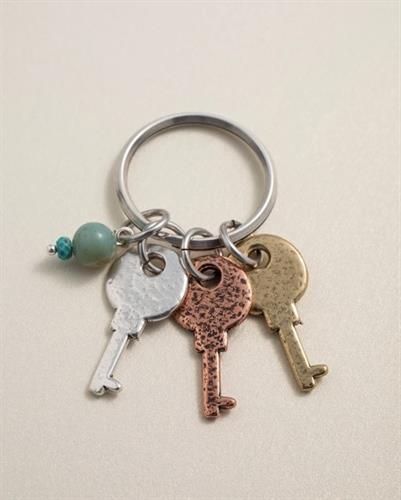 מחזיק מפתחות DANON -  צרור גוונים