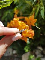 טבעת יהלומים 0.45 קראט בזהב 14 קראט